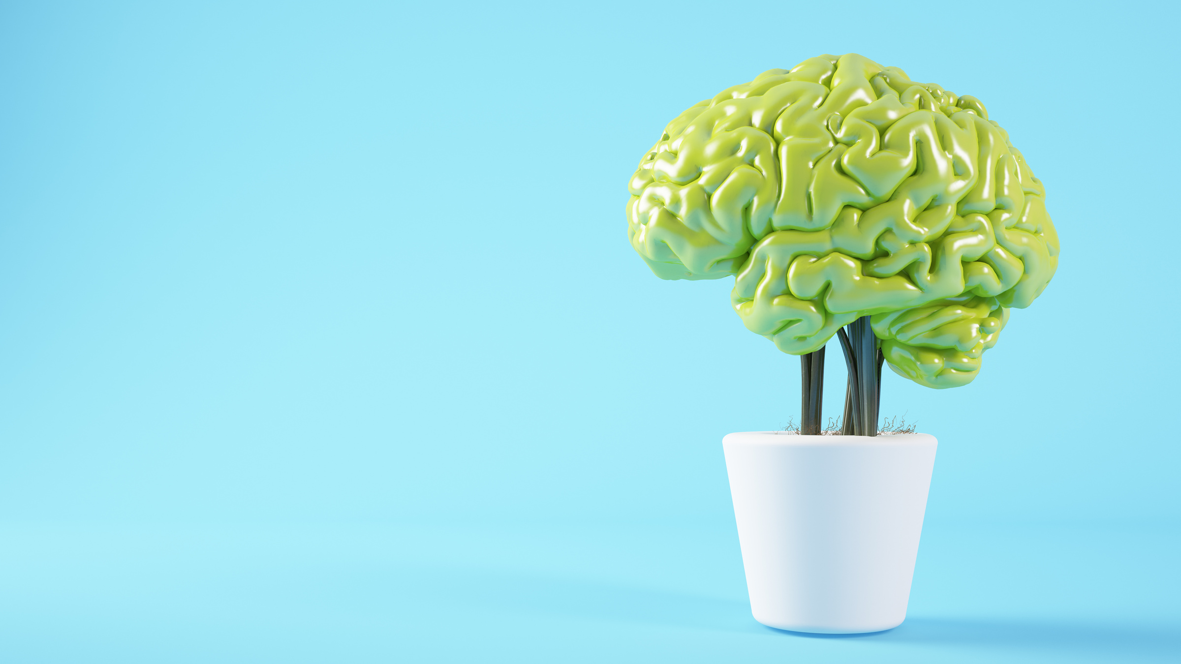 Gree Brain Plant